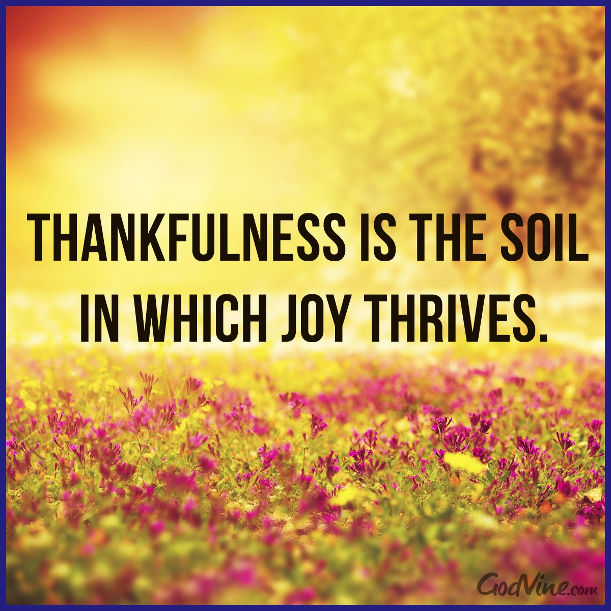 Christian Gratitude Quotes